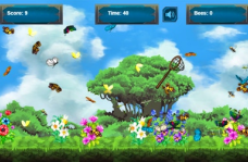 img Catch Butterflies