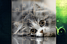 img Cats Puzzle Time