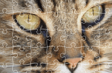 img Jigsaw Puzzle Classic